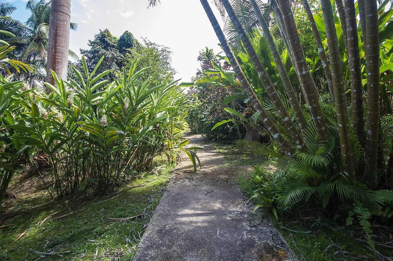 Lethe River Estate Hotel Saint James 0*,