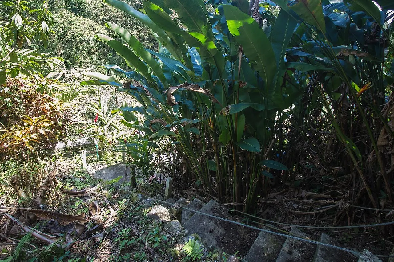 Lethe River Estate Hotel Saint James Jamaica